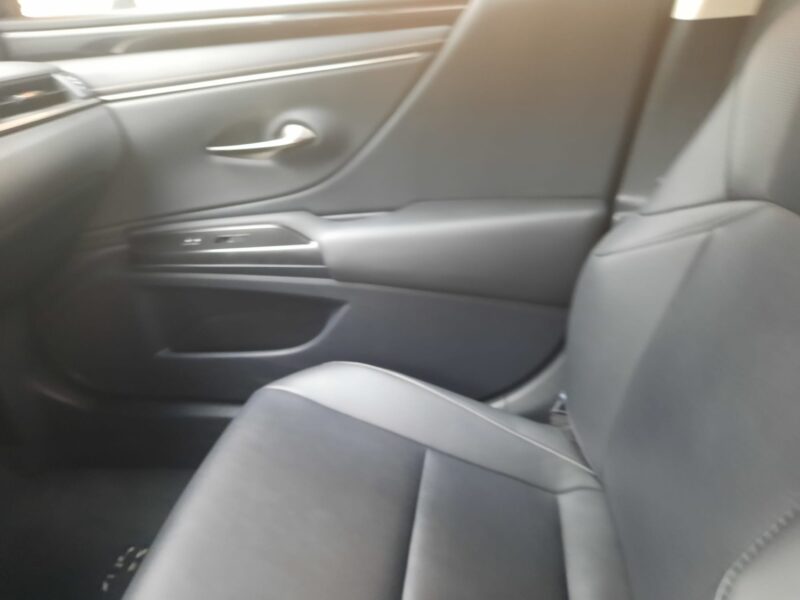 Lexus ES 2.5 LUXURY 300h