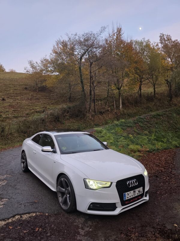 AUDI A5 3.0 tdi quattro s line