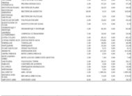 VOLKSWAGEN Caravelle Comfortline 2.0 TDI BMT DSG